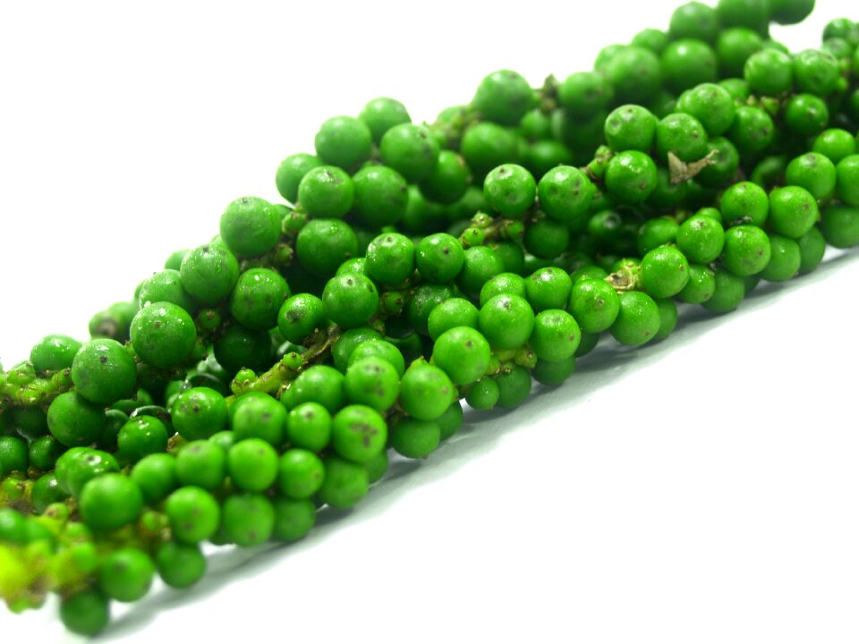 Black black pepper circle