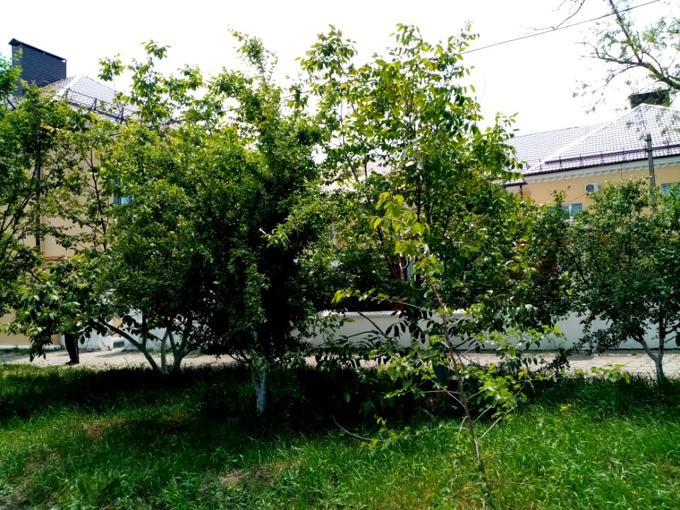 Bagerovo 13
