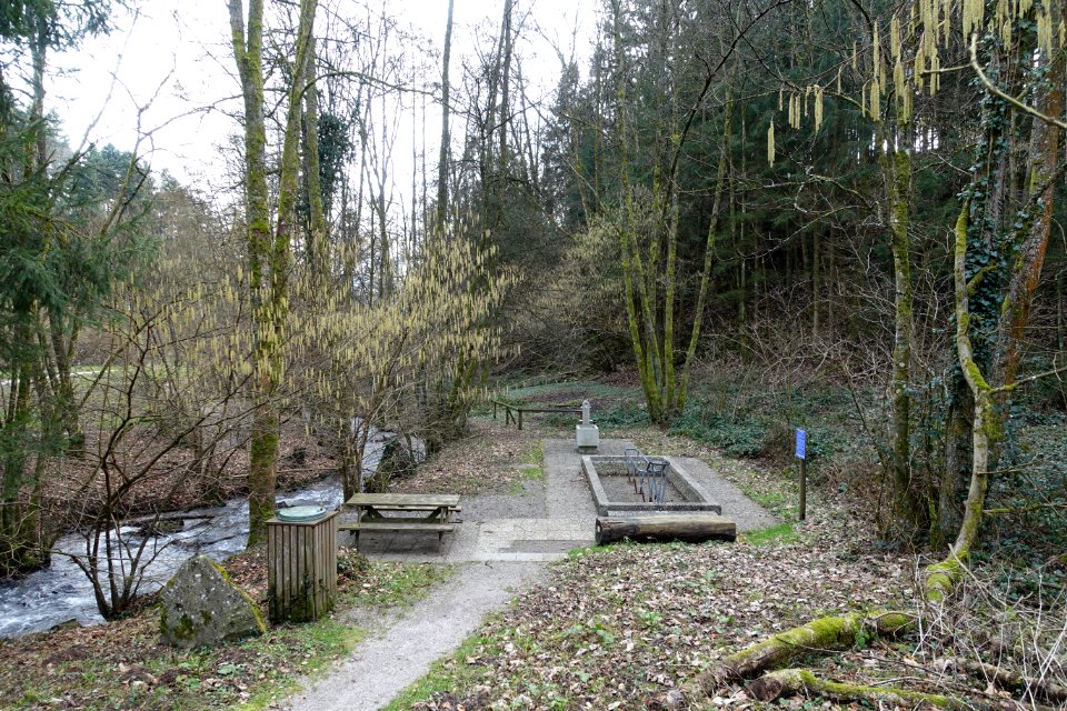 Bad Säckingen Kneippanlage