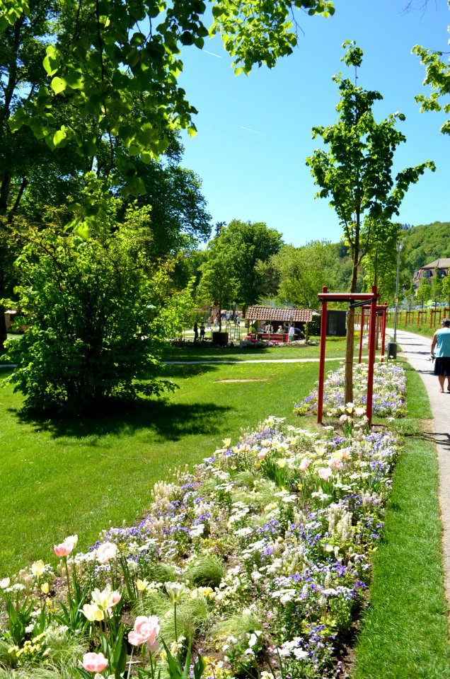 Bad Schwalbach, Landesgartenschau 2018, Frühlingsblumen (1)