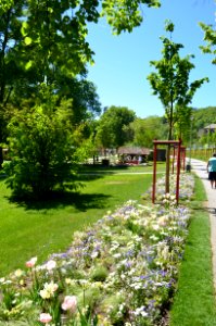 Bad Schwalbach, Landesgartenschau 2018, Frühlingsblumen (1)
