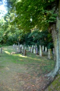 Bad Vilbel, Jüdischer Friedhof (2)