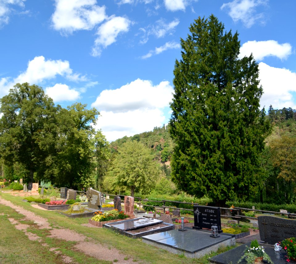 Bad Schwalbach, Friedhof