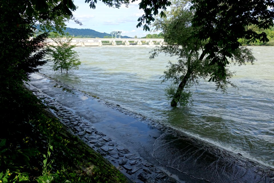 Bad Säckingen Rheinhochwasser Juni 2016 05
