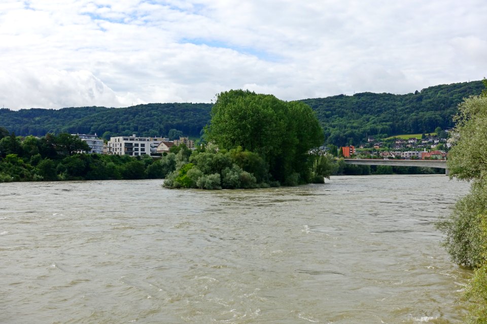 Bad Säckingen Rheinhochwasser Juni 2016 03