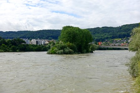 Bad Säckingen Rheinhochwasser Juni 2016 03
