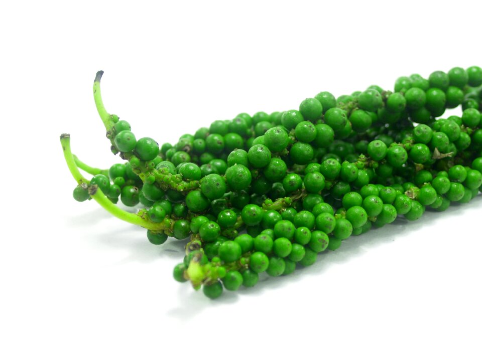 Black black pepper circle