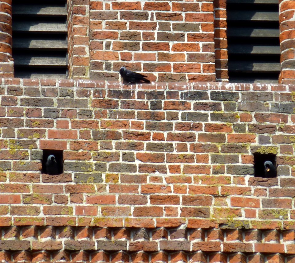 Bad Zwischenahn St. Johannes Turmdetail