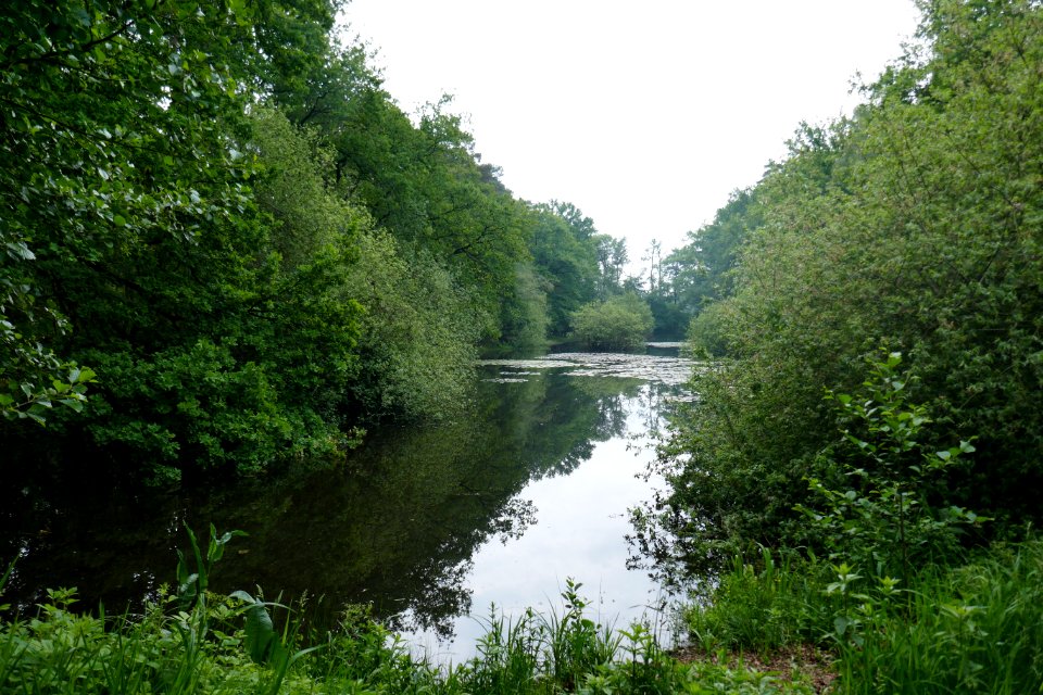 Bad Waldliesborn - Brandscherenteich