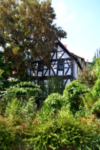 Bad Vilbel, Schulstraße 7