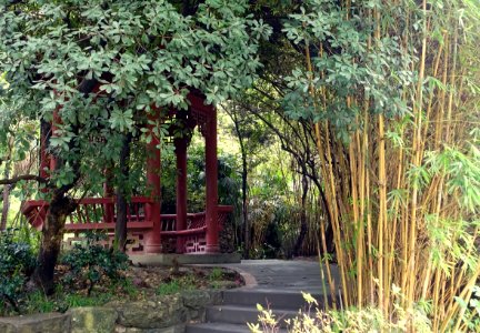 Baihuatan Park - Chengdu, China - DSC03896