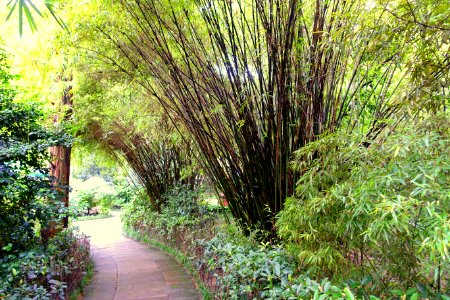 Baihuatan Park - Chengdu, China - DSC03867