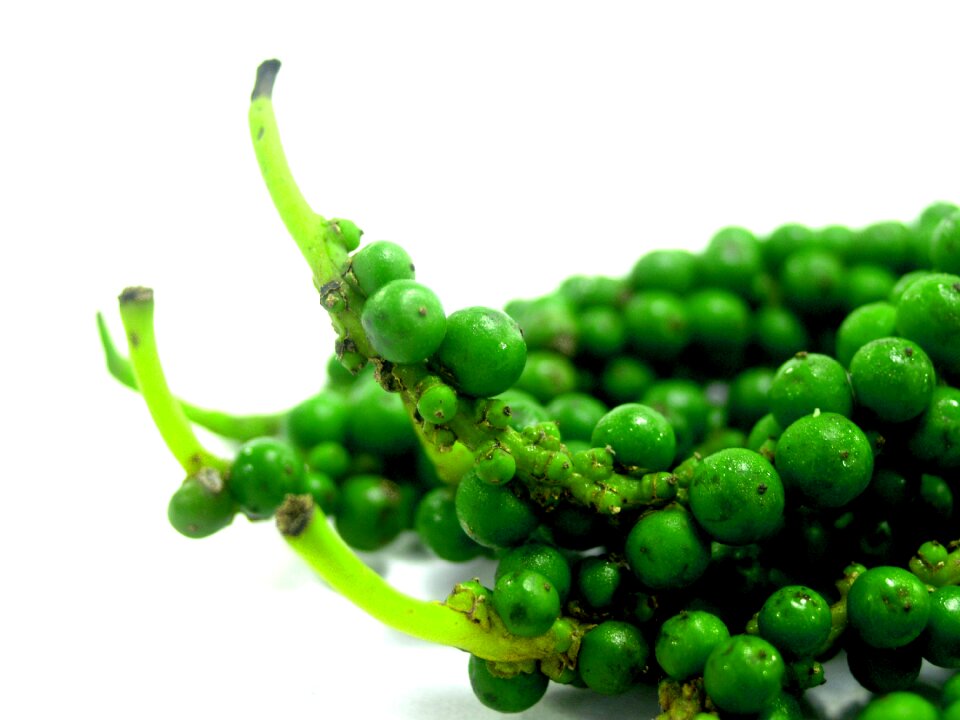 Black black pepper circle