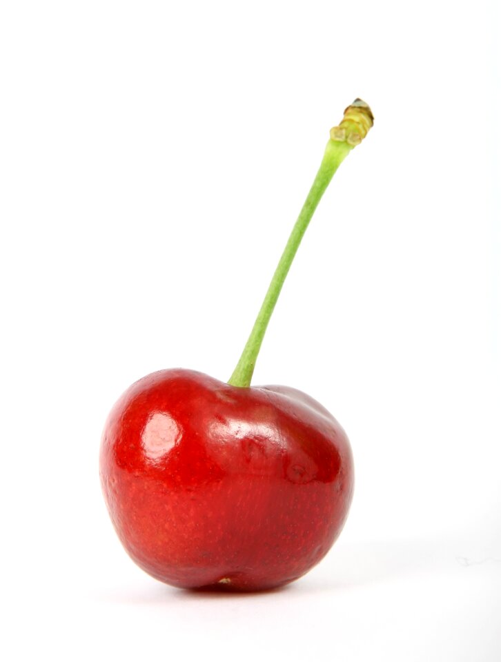 Cherry closeup color