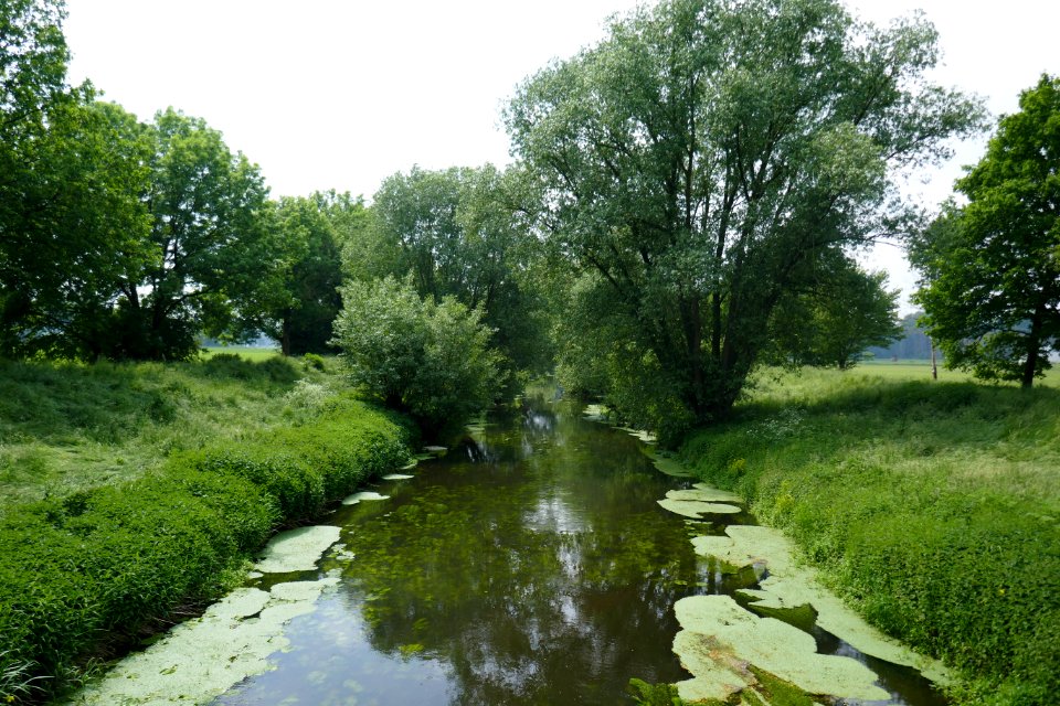 Bad Waldliesborn - Glenne