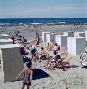 Badgasten op het strand, Bestanddeelnr 255-9880