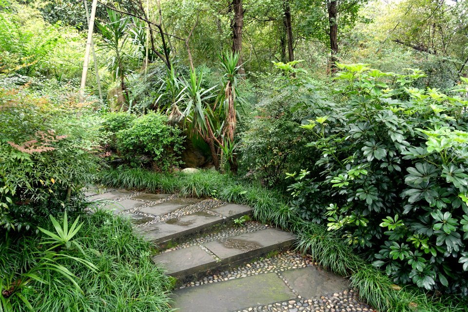 Baihuatan Park - Chengdu, China - DSC03881