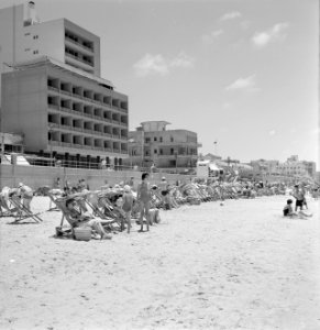 Badgasten in strandstoelen aan de rand van het strand (tegen de flatgebouwen aan, Bestanddeelnr 255-1980
