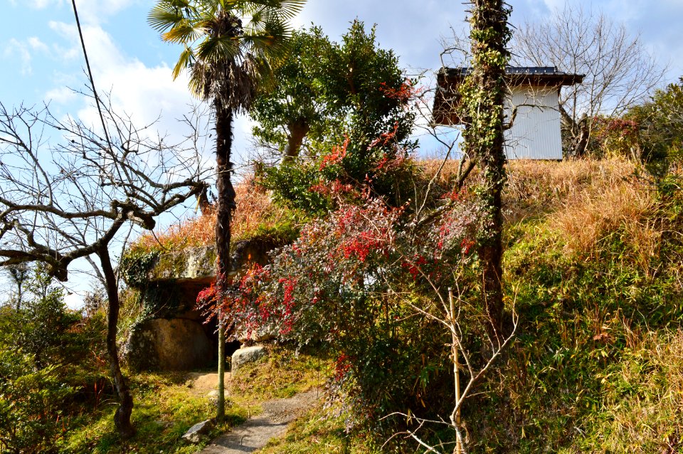 Baikihira Kofun, funkyu