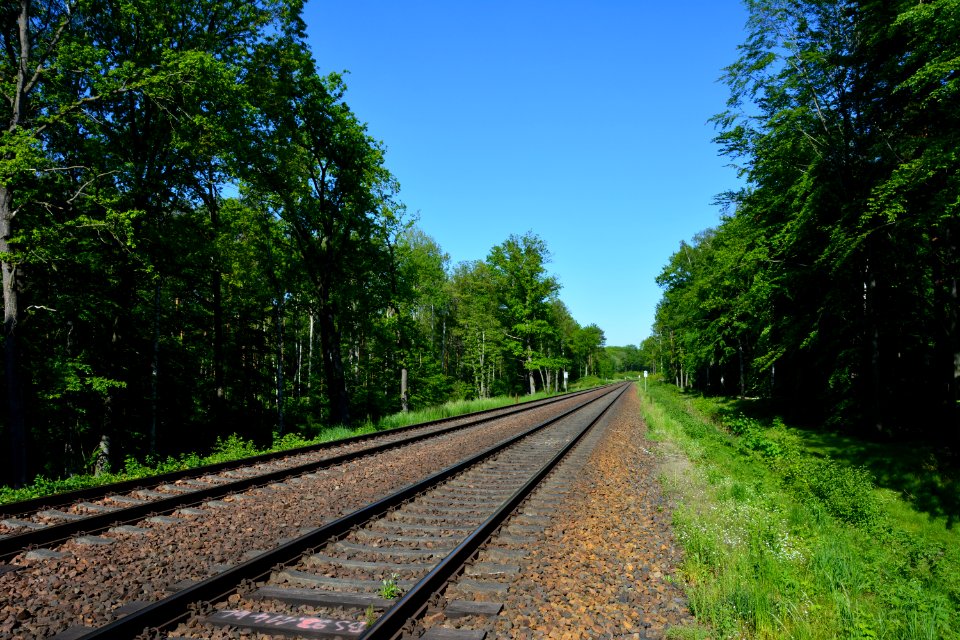 Bahnstrecke Richtung Langebrück quer