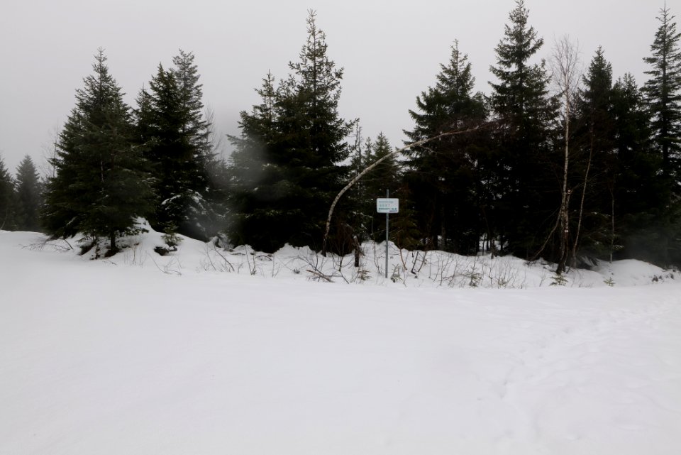 Badener Sattel with snow 2020-03-10 02