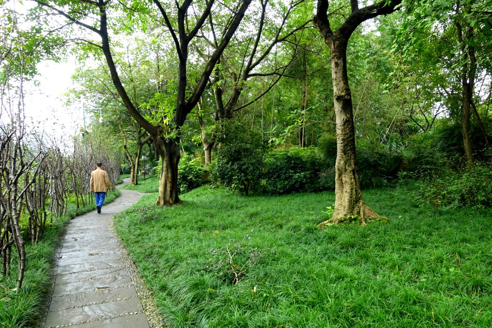 Baihuatan Park - Chengdu, China - DSC03880