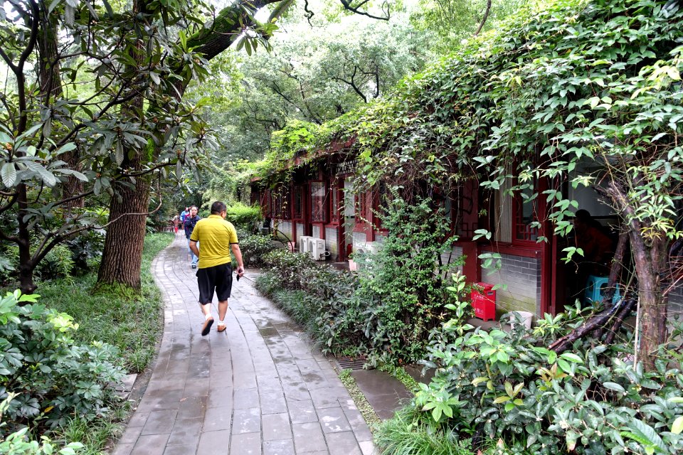 Baihuatan Park - Chengdu, China - DSC03849