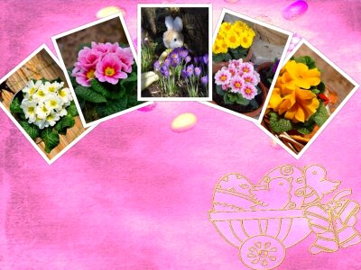 Symbol flowers plant