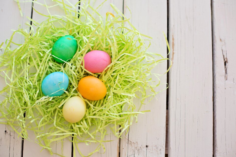 Easter holiday spring