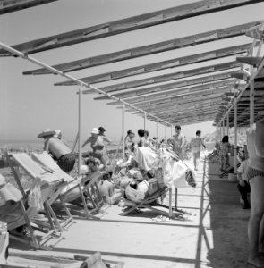 Badgasten kijken uit over de zee vanaf een hogergelegen plateau, Bestanddeelnr 255-1958