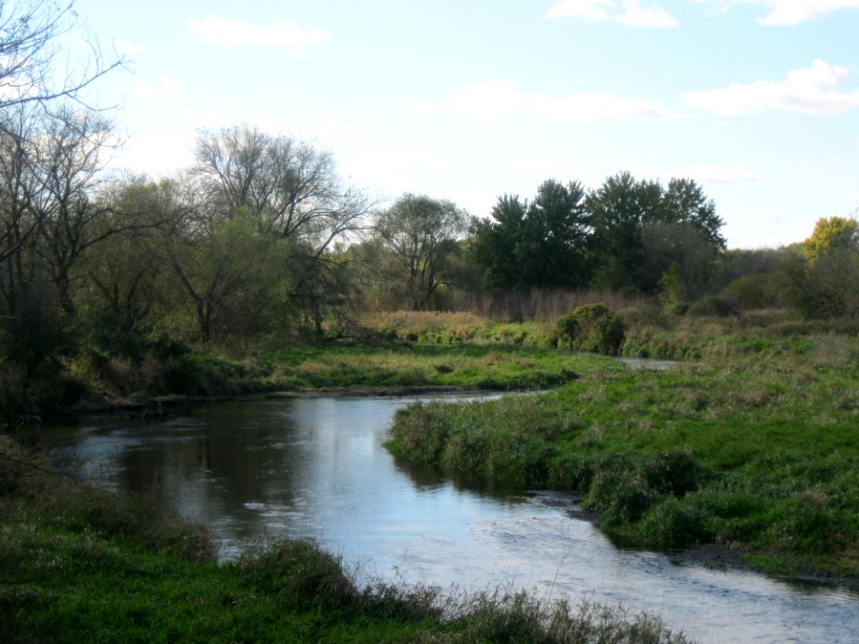 Badfish Creek, Cooksville Mill and Mill Pond Site