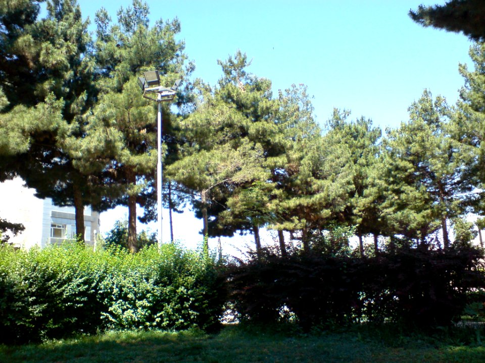 Bahonar Park