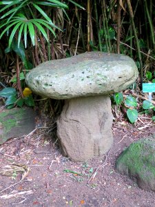 Balanced rocks, Spalding House gardens (Honolulu)