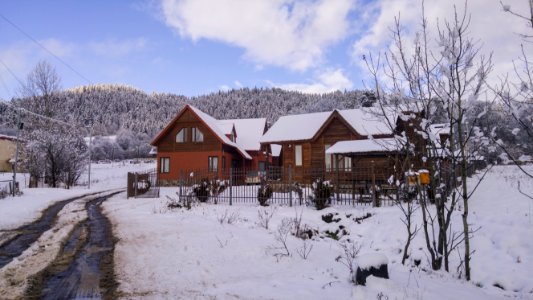 Bakuriani - Georgia باکوریانی، کشور گرجستان، مناظر برفی و چشم اندازهای زمستانی- جاذبه های گردشگری جورجیا 04