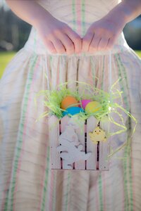 Easter egg hunt easter basket celebration photo