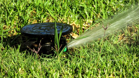 Watering garden equipment photo