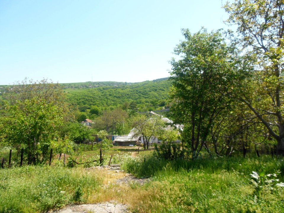 Balanovo 1
