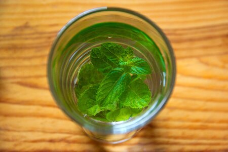 Glass lemon liquid photo