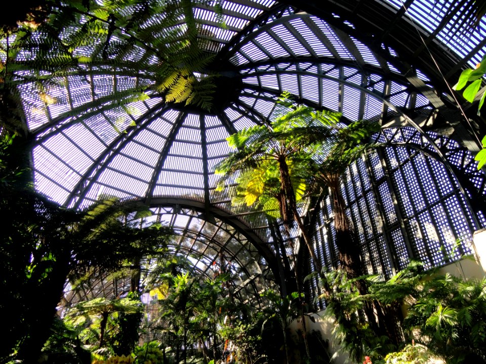 Balboa Park Botanical Building - DSC06788