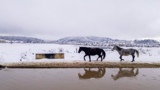 Bakuriani - Georgia باکوریانی، کشور گرجستان، مناظر برفی و چشم اندازهای زمستانی- جاذبه های گردشگری جورجیا 01