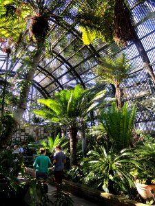 Balboa Park Botanical Building - DSC06761