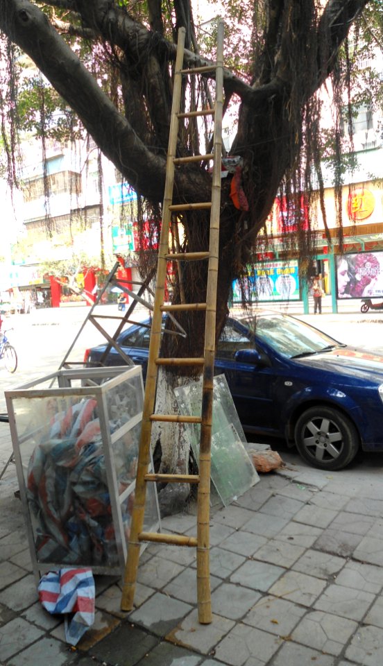 Bamboo ladder in Hainan - 01