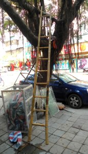 Bamboo ladder in Hainan - 01