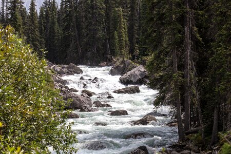 Canada wild river photo