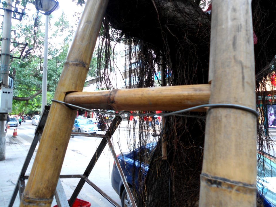 Bamboo ladder in Hainan - 03