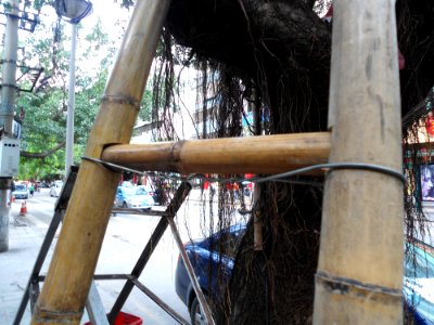 Bamboo ladder in Hainan - 03