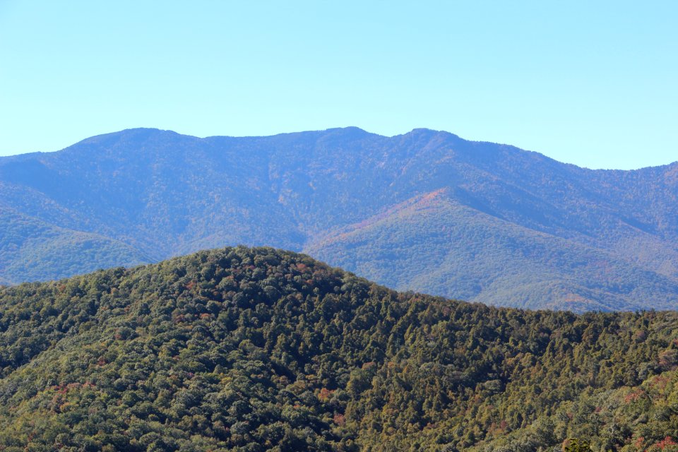 Balsam Cone, Cattail Peak, Potato Hill from Black Mountains Overlook