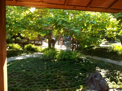 Balboa Park Japanese Garden 5