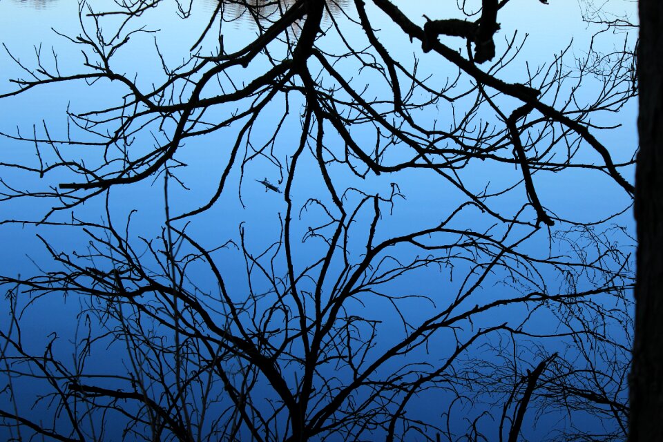 Water mirror image twilight
