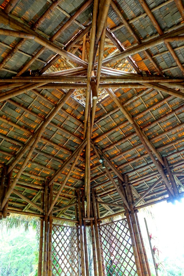 Bamboo Pavilion, ceiling, 2002, made of Guadua angustifolia - McKee Botanical Garden - Vero Beach, Florida - DSC03183